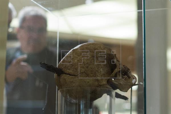 Huesos medievales de Cataluña en una exposición para no perderse
